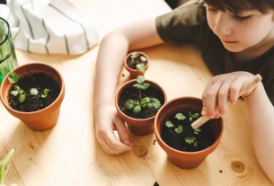 Jardinagem para Crianças O Passo a Passo Para Cultivar Ervas de Forma Fácil e Divertida