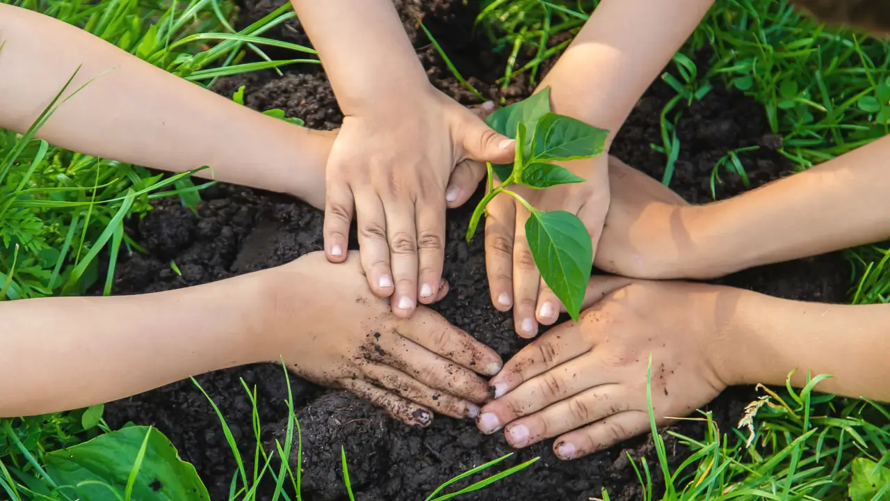 10 Jogos com Plantas que Ensinam e Divertem as Crianças com Jardinagem