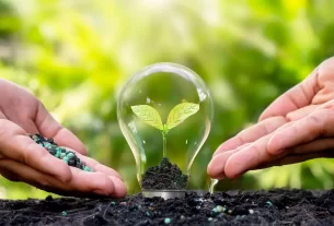 Como Fazer Adubo Caseiro 7 Técnicas Naturais para uma Horta Livre de Químicos