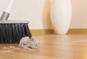 Descubra as Melhores Plantas para Reduzir a Poeira e Melhorar a Qualidade do Ar