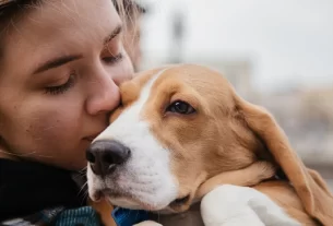 Ervas para Animais 10 Opções Naturais que Acalmam, Desintoxicam e Revitalizam