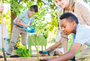 Mini Hortas na Escola O Segredo para Ensinar Sustentabilidade e Nutrição na Infância