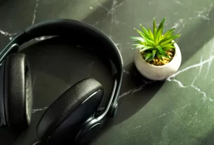 O Impacto da Música no Desenvolvimento das Plantas