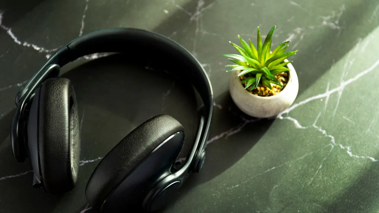 O Impacto da Música no Desenvolvimento das Plantas