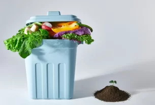 Passo a Passo para Criar uma Composteira Caseira Eficiente