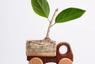 Plantas Amigas das Crianças Como Criar um Jardim Seguro e Educativo