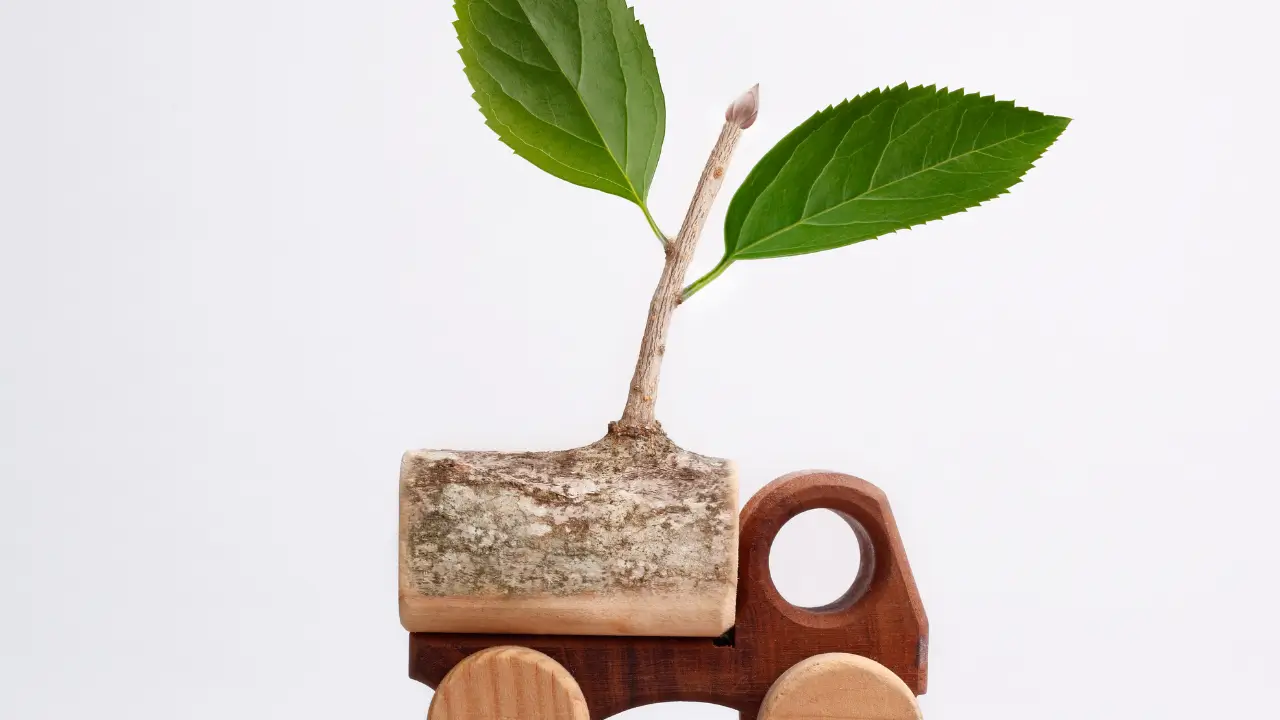 Plantas Amigas das Crianças Como Criar um Jardim Seguro e Educativo