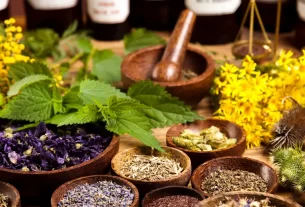 Plantas Medicinais Poderosas Descubra os Segredos da Fitoterapia e Seus Benefícios Naturais