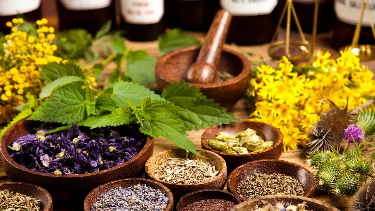 Plantas Medicinais Poderosas Descubra os Segredos da Fitoterapia e Seus Benefícios Naturais