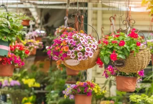 Por Que as Flores Abrem e Fecham em Horários Específicos Descubra o Segredo!