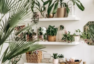 Top 10 Plantas Resistentes para Ambientes Internos que Transformam sua Casa