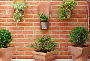 Varandas Pequenas com Vida Conheça as 10 Melhores Plantas para o Seu Cantinho