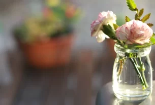 Vasos Sustentáveis 10 Ideias Incríveis para Reutilizar Materiais e Decorar sua Casa