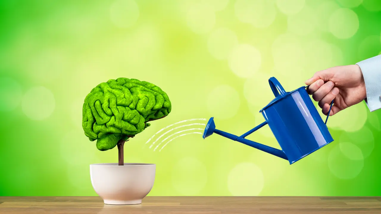 Verde na Cabeça Como as Plantas Podem Turbinar Sua Memória e Mente!