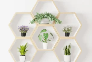 10 Ideias Geniais para Organizar Plantas em Apartamentos Pequenos