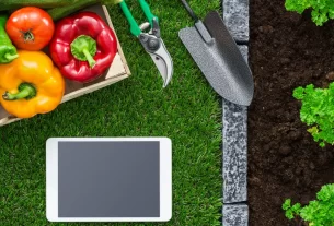 5 Aplicativos para Jardinagem Incríveis Que Facilita e Organiza Seu Espaço Verde