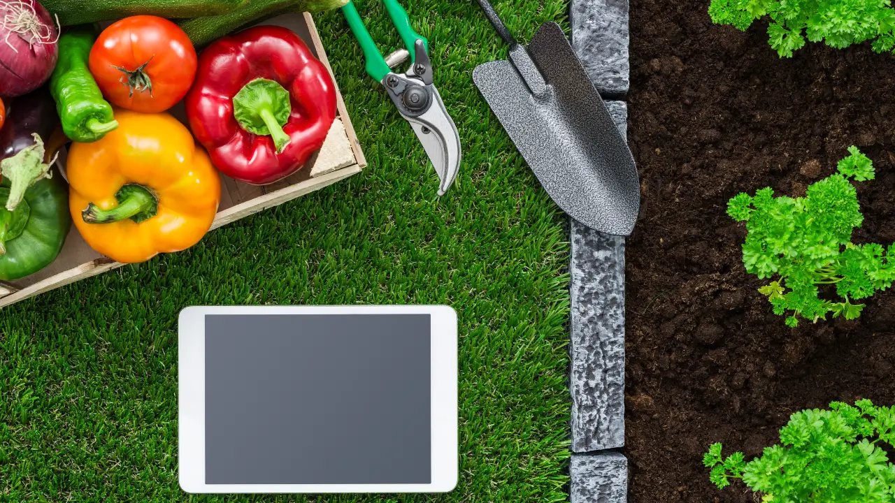 5 Aplicativos para Jardinagem Incríveis Que Facilita e Organiza Seu Espaço Verde