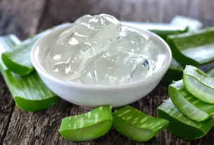 O Segredo da Aloe Vera 5 Cuidados Essenciais para Uma Planta Saudável