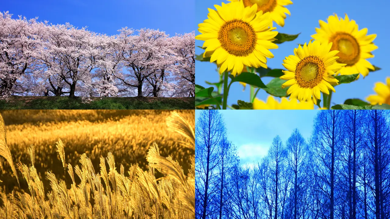 Plantas e Estações do Ano 10 Fatos Surpreendentes Que Você Nunca Imaginou