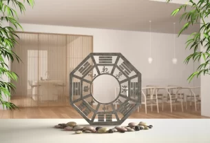 Você Está Colocando Suas Plantas no Lugar Certo Veja o Que Diz o Feng Shui!