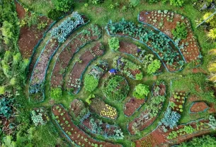 Jardim Mandala