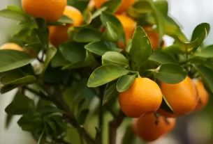 7 Árvores Frutíferas para Apartamento Que Você Pode Plantar Já