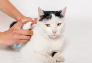 Spray Vegano para Ambientes Pet  