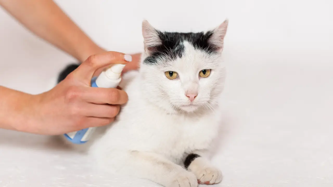 Spray Vegano para Ambientes Pet  