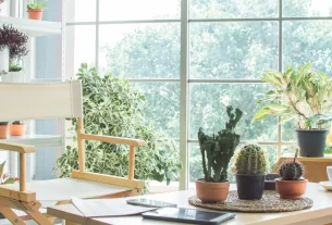 Plantas em Apartamento Pequeno