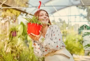 Plantas que Representam Mães Qual Combina com a Sua