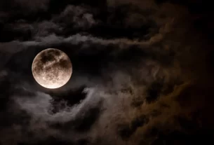 Plante no Momento Certo Como as Fases da Lua Podem Transformar Seu Jardim