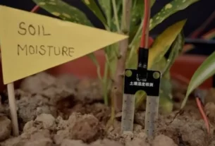 Tecnologia + Jardinagem Como Criar Medidores DIY Simples