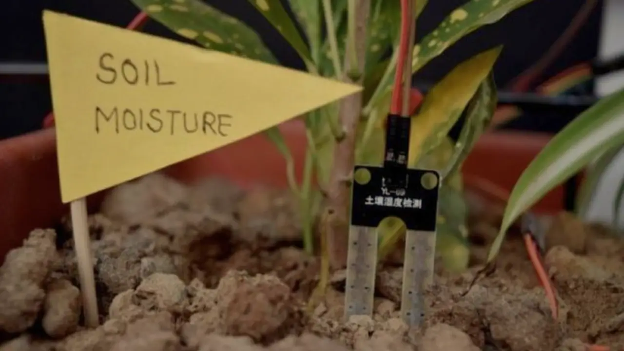 Tecnologia + Jardinagem Como Criar Medidores DIY Simples