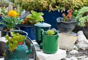 Transformar Lixo em Jardim Vivo com chaleiras