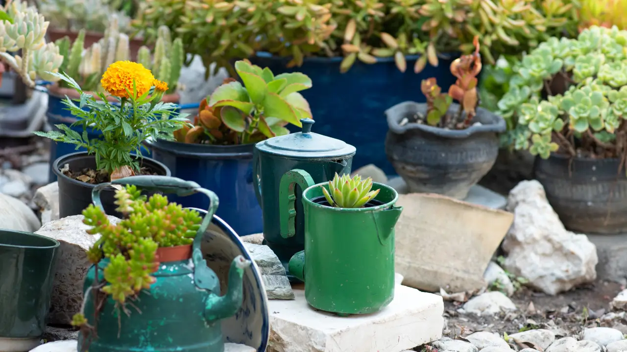 Transformar Lixo em Jardim Vivo com chaleiras