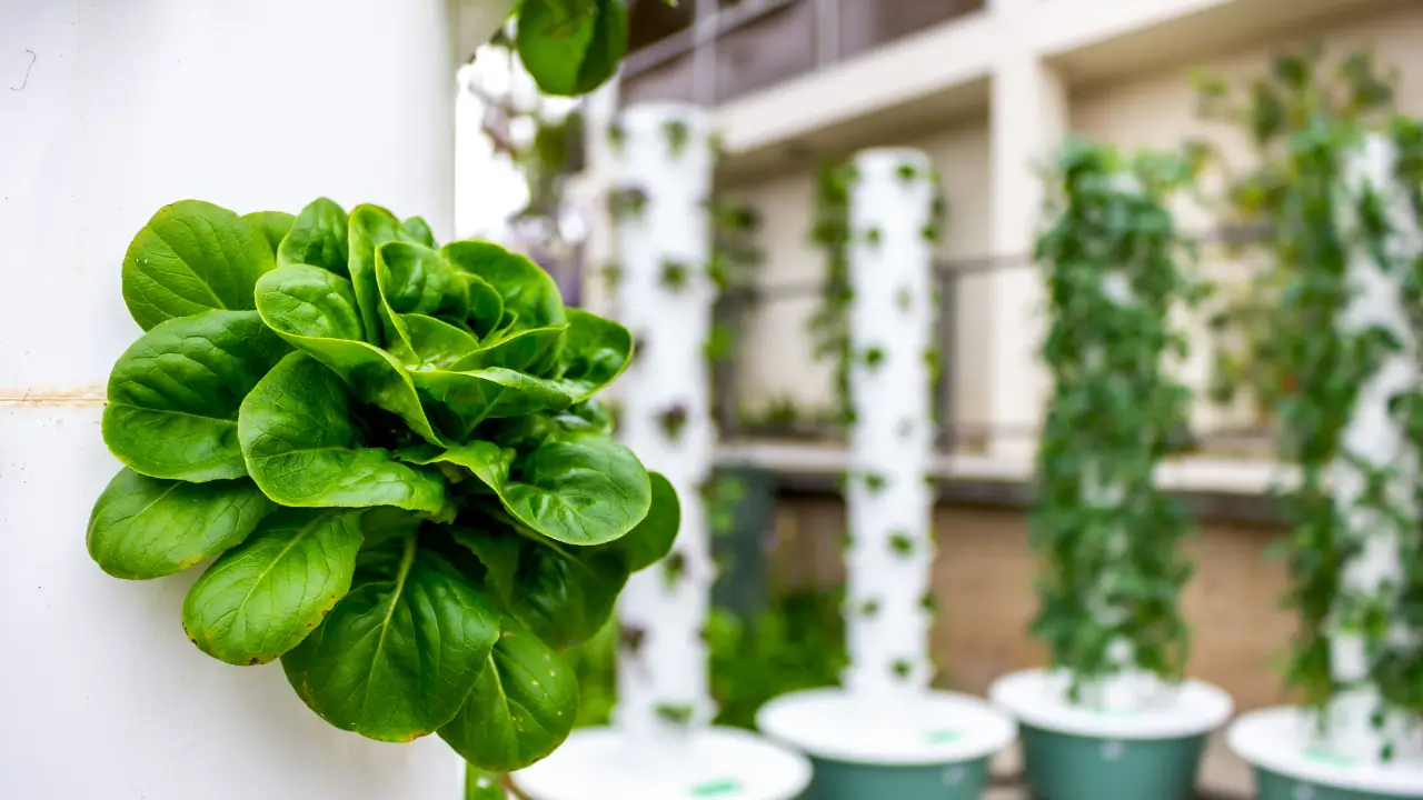 Horta Vertical LED em Apartamento