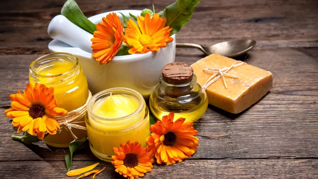 ingredientes para Fazer Pomada de Calêndula Caseira