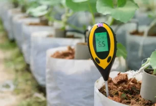 Como Testar o pH do Solo em Casa com Facilidade 