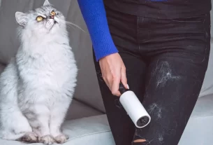 Dicas Infalíveis para Remover Pelos de Pets 