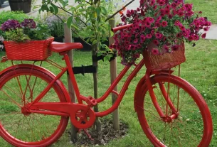 Transforme Sua Bicicleta Velha em Vaso de Plantas 