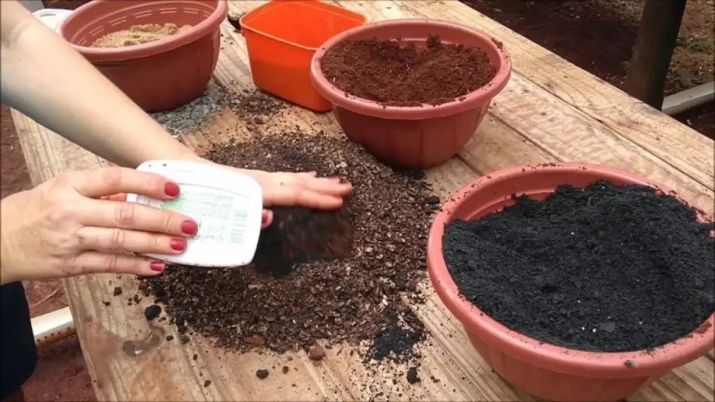 Mistura de substrato ideal para plantar ora pro nobis em vaso com terra vegetal e composto orgânico