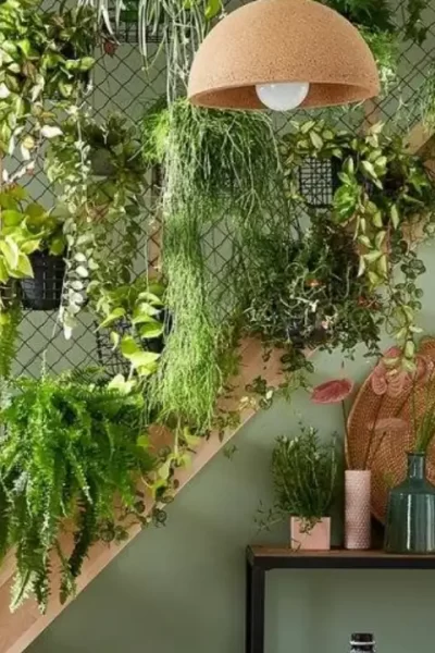 Como Cuidar de Samambaia em Apartamento