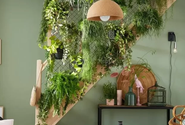 Como Cuidar de Samambaia em Apartamento