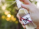 spray de repelente caseiro