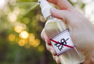 spray de repelente caseiro