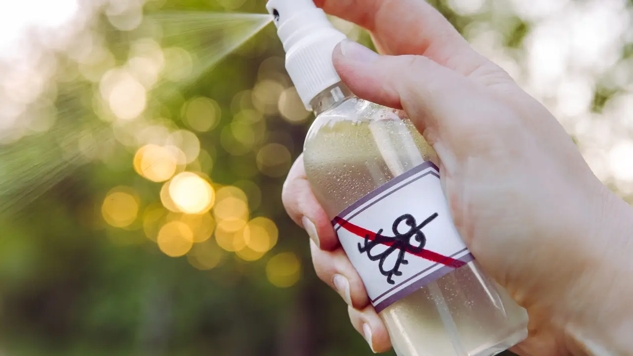 spray de repelente caseiro